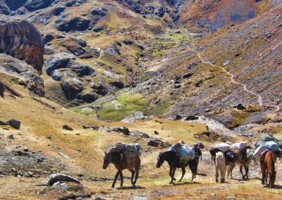 Ausangate - Cordillère des Andes