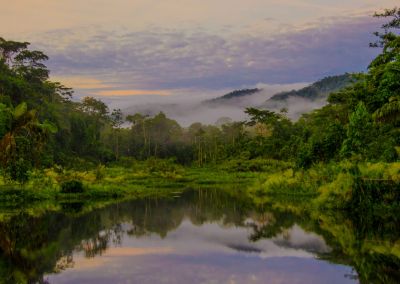 Parc du Manu en Amazonie