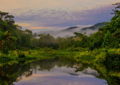 Circuit Amazonie – 3 jours