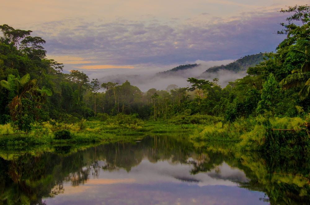 Circuit Amazonie – 3 jours