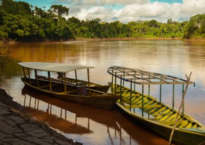 Parc du Manu en Amazonie