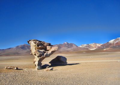 Abre de Pierre - Bolivie