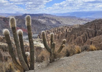 Paysage du Sud Lipez