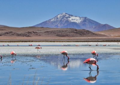 Sud Lipez - Uyuni