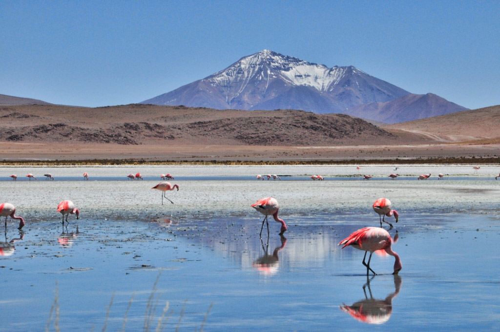 voyage perou bolivie 15 jours