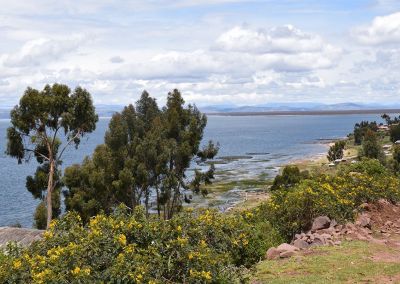 Lac Titicaca - Llachon chez l'habitant