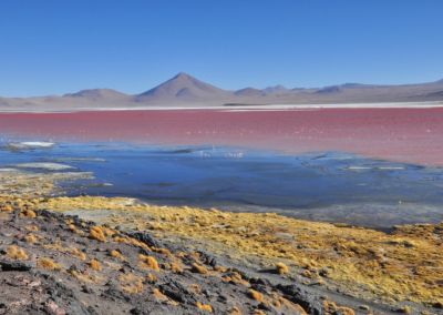 Laguna Colorada - Bolivie