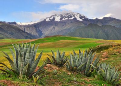 Vallée Sacrée des Incas, Maras