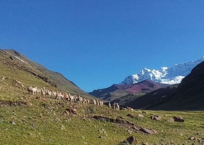 Trek Montagne Arc en Ciel - Rainbow Mountain