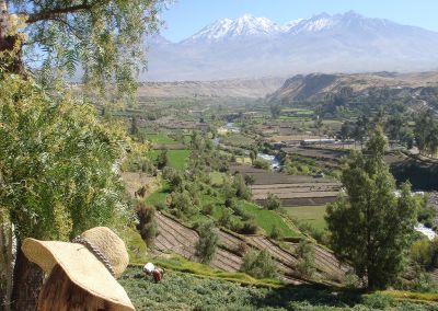 Arequipa - Panorama Chachani