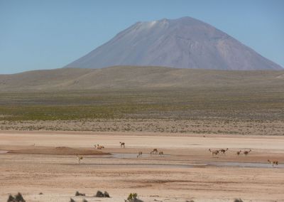 Réserve Nationale des Salinas et Agua Blanca - Volcan Misti