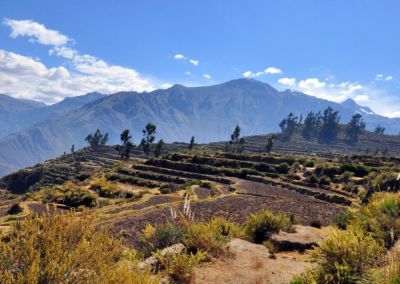 Canyon Colca