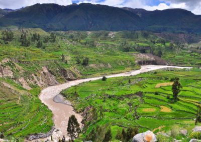 Canyon Colca