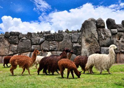 Cusco - site archéologique Sacsayhuaman