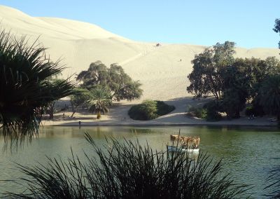 Oasis de Huacachina - Ica