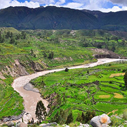 Terrasses - Canyon Colca