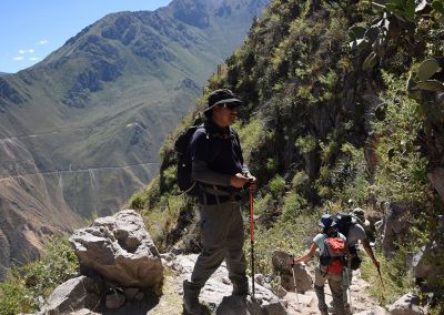 Trek de Colca - Canyon Colca