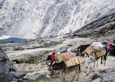 Cordillère blanche - Trek Santa Cruz - Huaraz